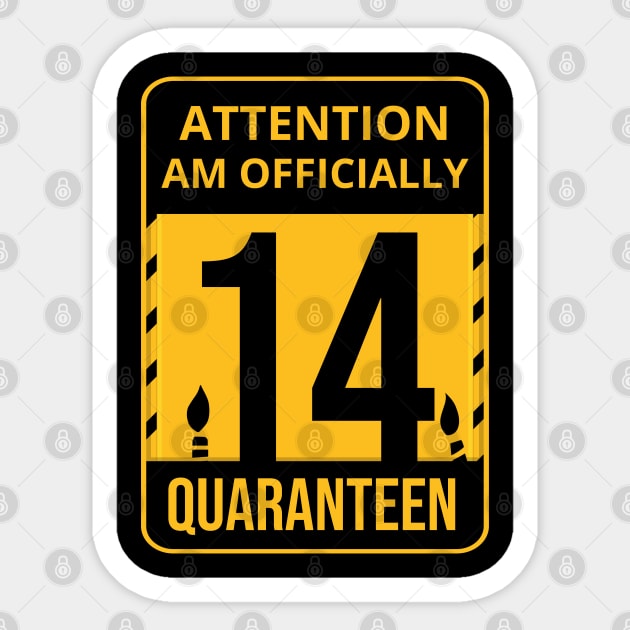 14th Birthday Officially a Quaranteen 14 Years Old Sticker by heidiki.png